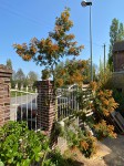IMG_1535.jpg