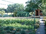potager.jpg