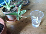 IMG00004-20090201-1539.jpg