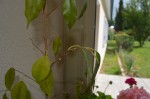DSC_0366.JPG