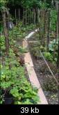 jardinmdievalcarnot055vr6_th.jpg