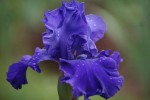 DSC02841.jpg