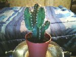 Picture0026.jpg