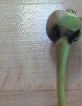 20200502_202543.jpg