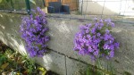20200503_183507.jpg
