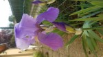 20200503_183213.jpg
