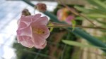 20200503_182945.jpg