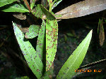 photo02.jpg