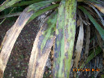 photo01.jpg