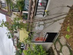 IMG_20200504_101208_resize_45.jpg