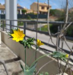 161E73AF-4DDD-46E6-B778-4A70F0051684.jpeg