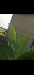 Screenshot_20200504_224821_com.android.gallery3d.jpg