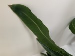 F07128B0-9C9D-49FC-8CA0-8A97E95A3EDD.jpeg
