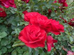 DSCN0729.JPG