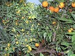 P1310046 (Small).JPG