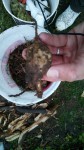 IMG_20200505_210548.jpg