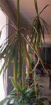 20200506_165207.jpg