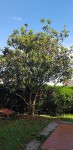 20200506_165247.jpg