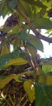 20200506_165328.jpg