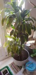 20200506_172756.jpg