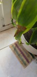 20200506_172753.jpg