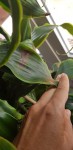 20200506_172808.jpg