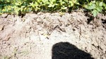 IMG_20200507_112911.jpg