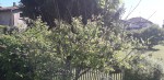 20200504_162613_resized.jpg