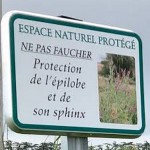 Ecriteau de La Plume.jpg