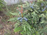 IMG_0891.jpg