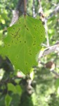 20200508_161457_resized.jpg