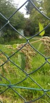 20200512_160339.jpg