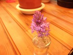 DSCF3515.JPG