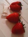 IMG0116A.jpg