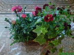 DSC00079.JPG
