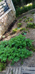 IMG_20200517_184950.gif
