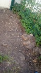 IMG_20200518_171942.jpg