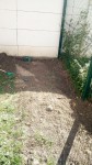 IMG_20200518_172014.jpg