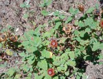 IMG_20200519_185030.jpg