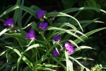 DSC03103.jpg