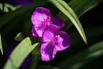 DSC03104.jpg