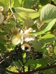IMG_7485.JPG