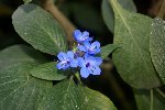 DSC00492.JPG