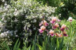 DSC03112.jpg