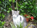 100_3520.jpg