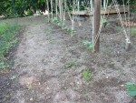 DSCF3543.JPG
