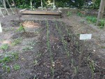 DSCF3545.JPG