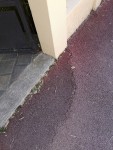 IMG_20200529_131729.jpg