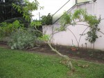 IMG_2027.JPG