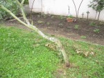 IMG_2028.JPG